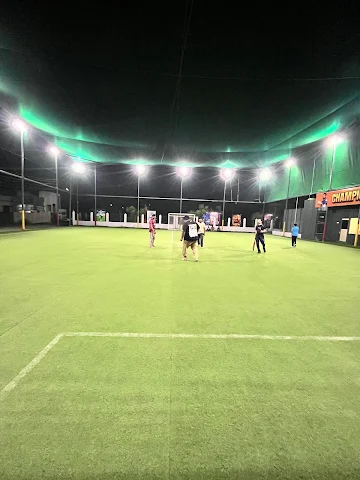 Turf photo 4