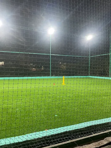 Turf photo 7