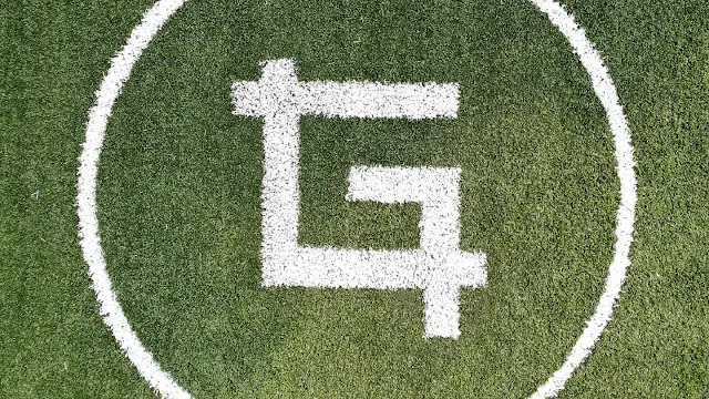 Turf photo 2