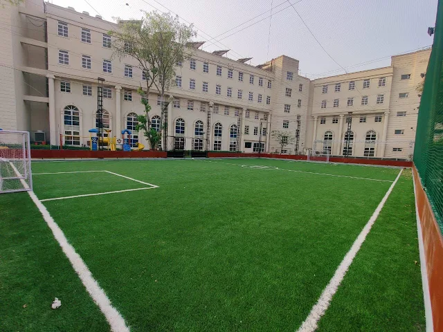 Turf photo 3