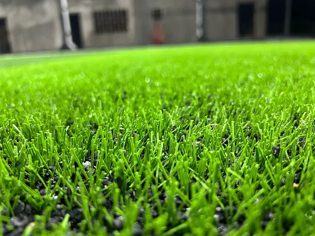 Turf photo 4