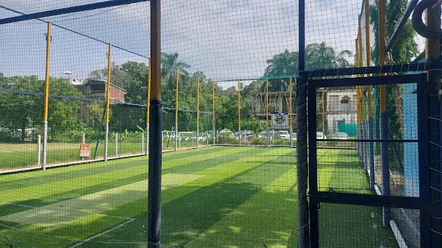 The Power Turf