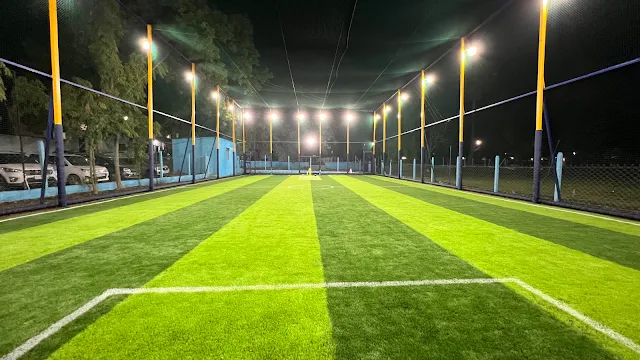 Turf photo 2