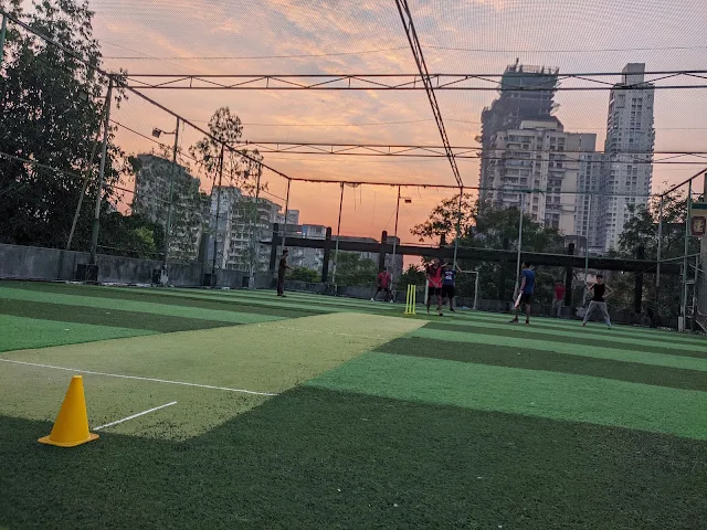 Turf main photo