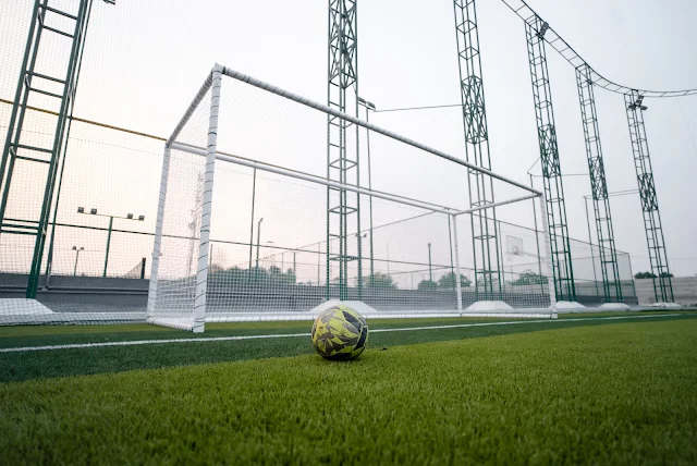 Turf photo 4