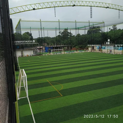 Turf photo 3