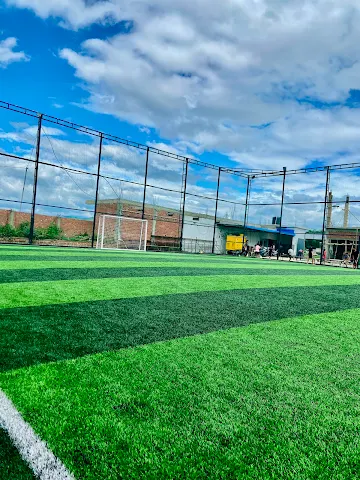 Turf photo 2