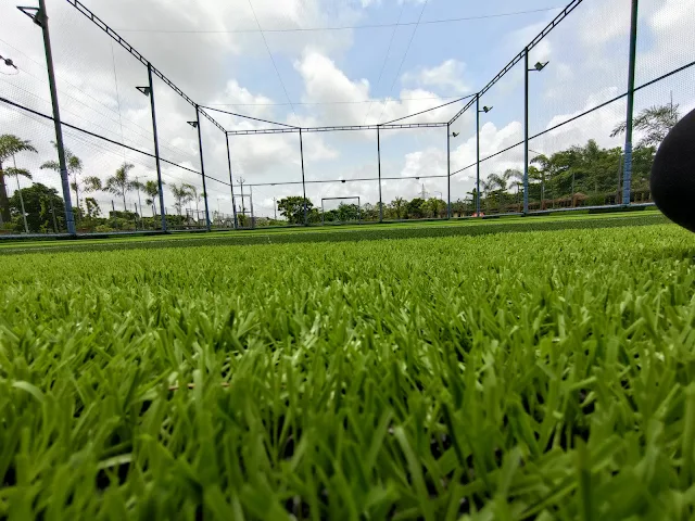 Turf photo 2