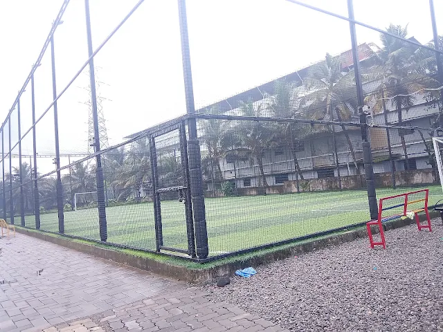 Turf photo 3