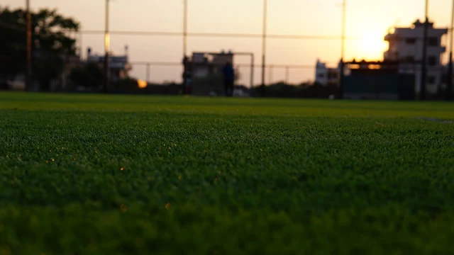 Turf photo 3