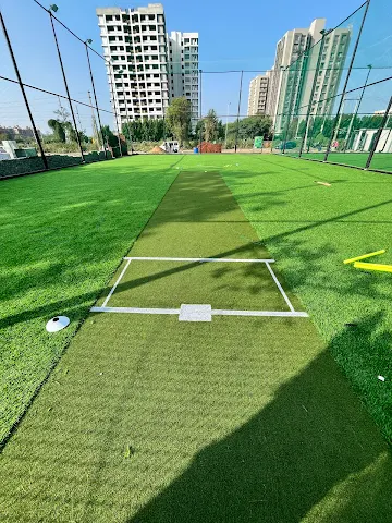 Turf photo 2