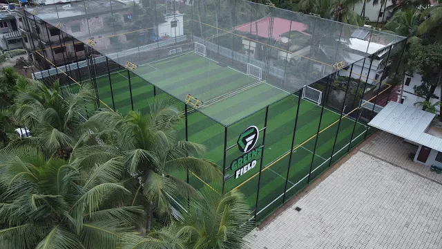 Turf photo 3
