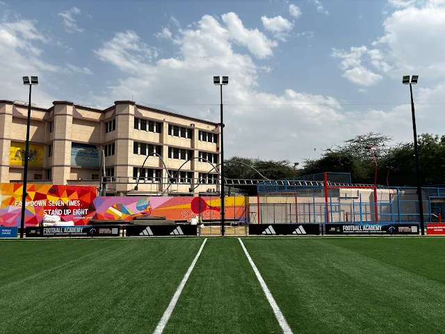 Turf photo 2