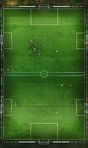 Turf photo 5