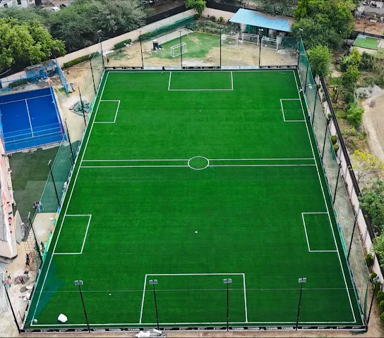 Turf photo 3