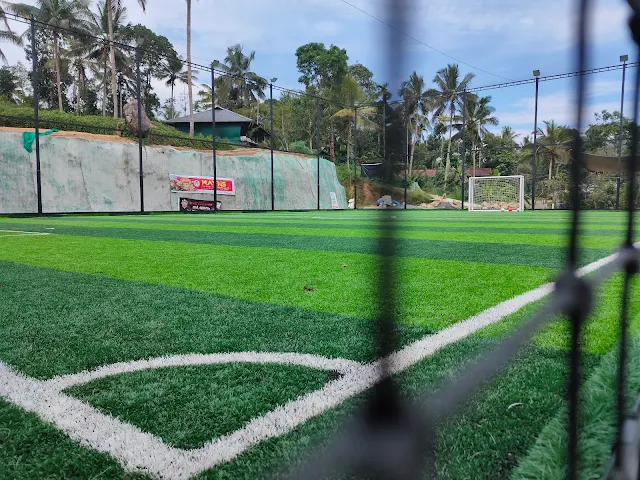 Turf main photo