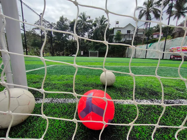 Turf photo 4