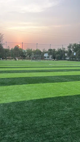 Turf photo 4