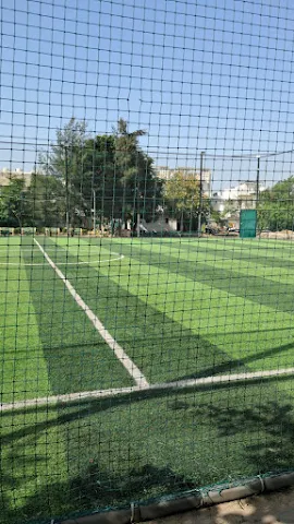 Turf photo 3