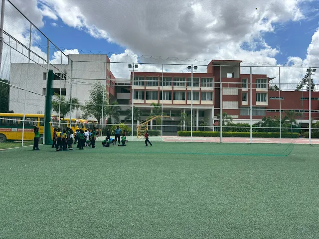 Turf photo 4