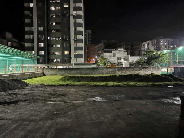 Turf photo 3