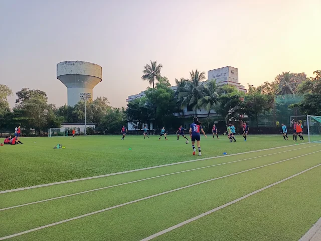 Turf main photo