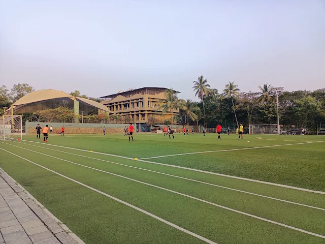 Turf photo 10