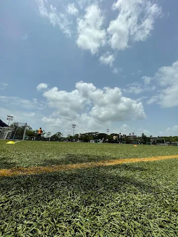 Turf photo 8