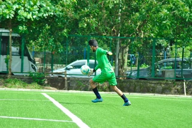 Turf photo 9