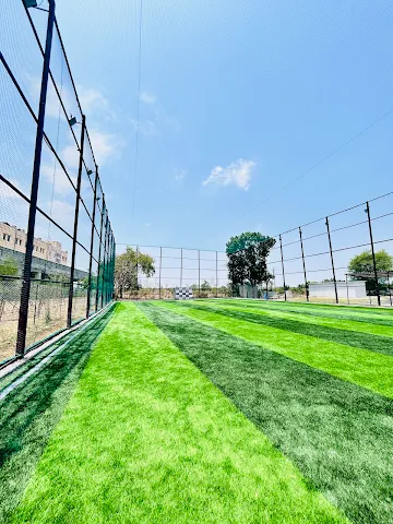 Turf photo 4