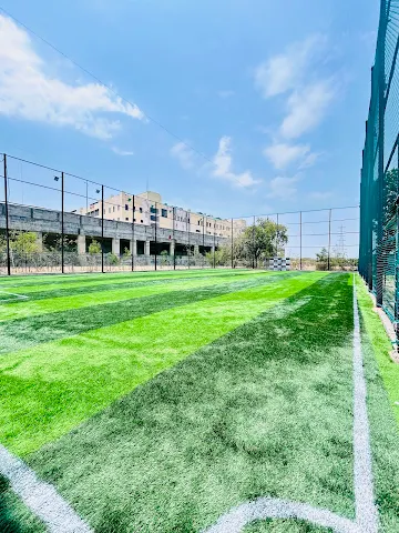 Turf photo 2