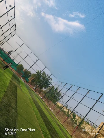 Turf photo 7