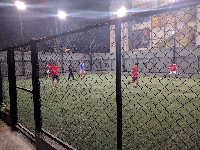 Turf main photo