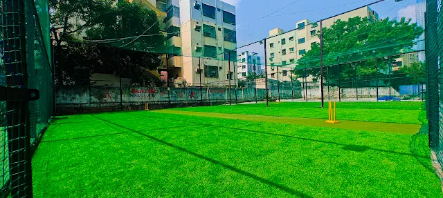 Turf main photo