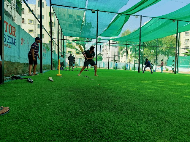 Turf photo 11