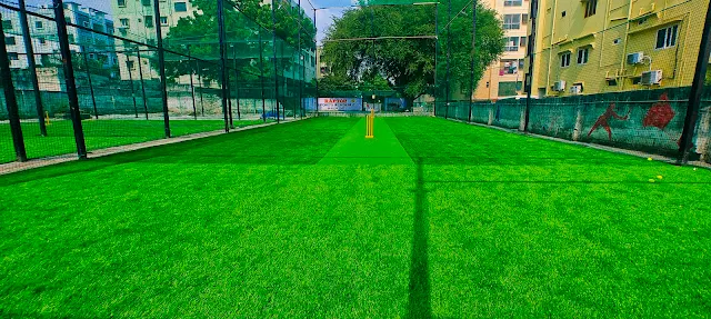 Turf photo 2
