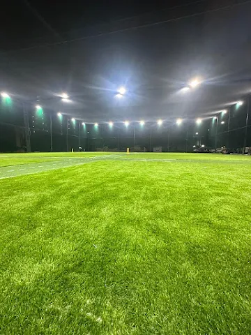 Turf photo 2