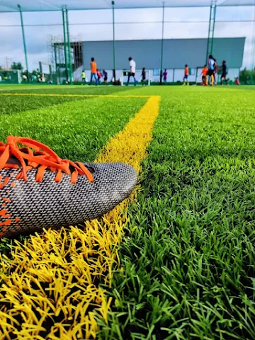 Turf photo 5