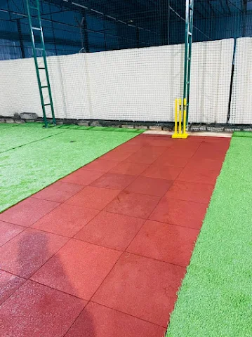 Turf photo 6