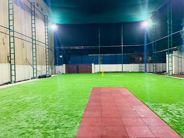 Turf photo 3