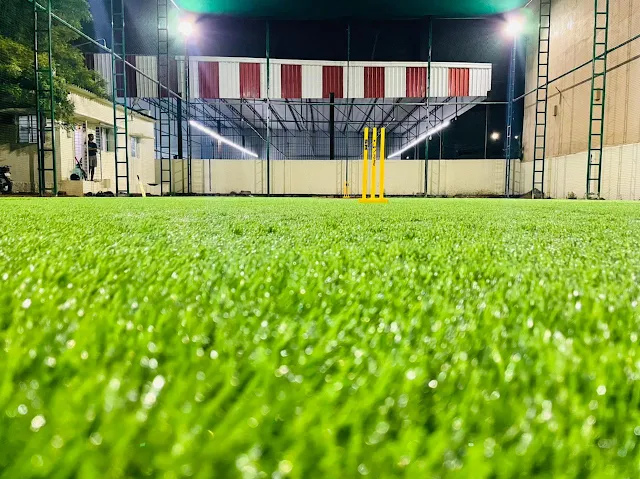 Turf photo 8
