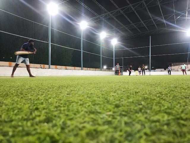 Turf photo 7