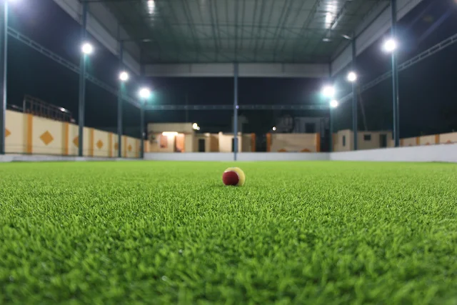 Turf photo 9