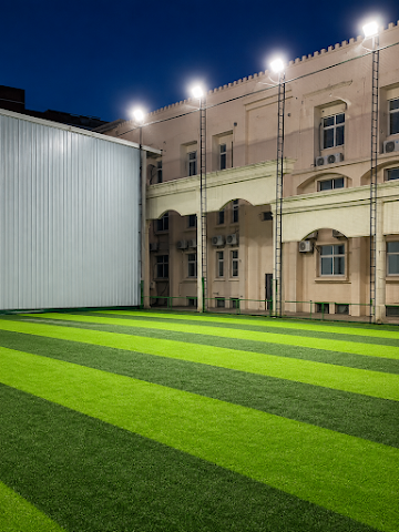 Turf photo 6