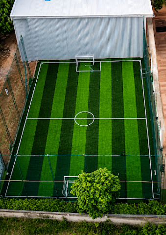 Turf photo 2