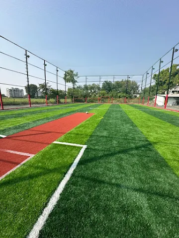 Turf photo 3