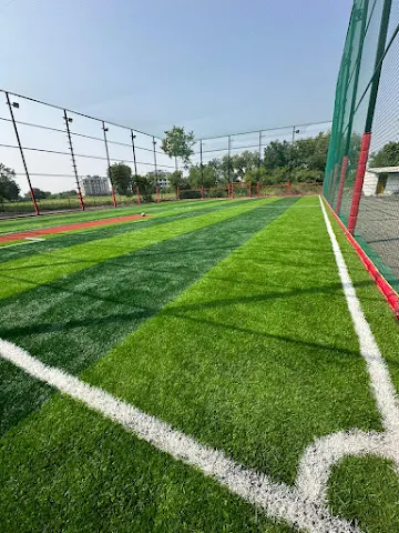 Turf photo 2