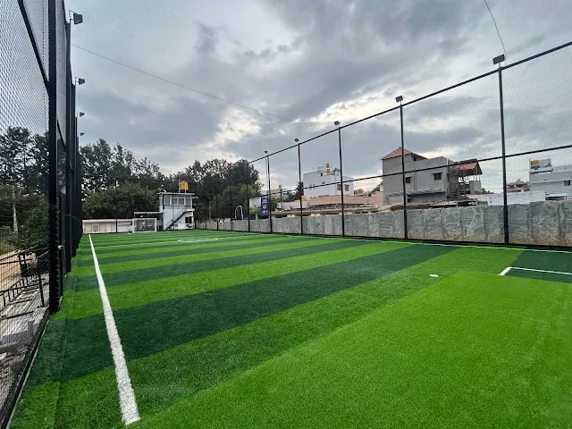 Turf photo 2