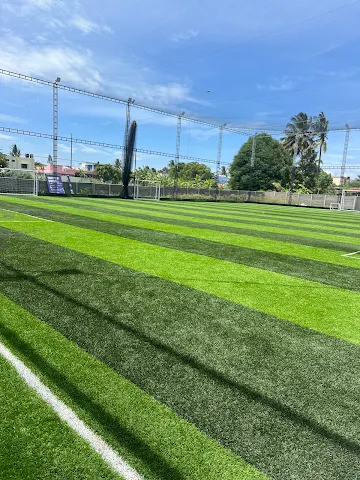 Turf photo 2
