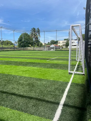 Turf photo 6